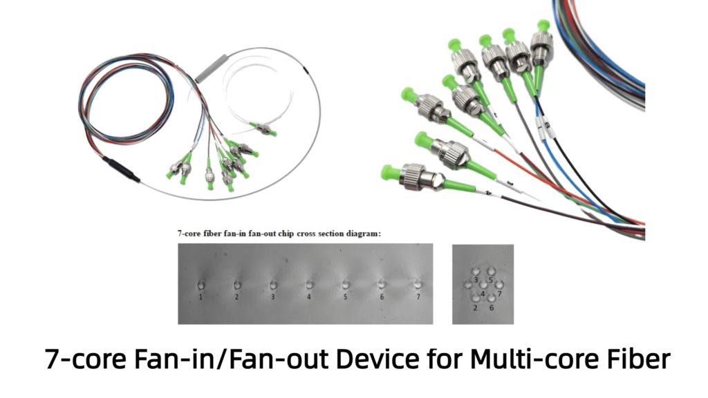 7-core Fan-in/Fan-out Device for Multi-core Fiber